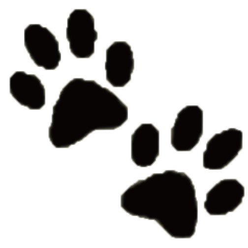 猫の足跡アイコン
